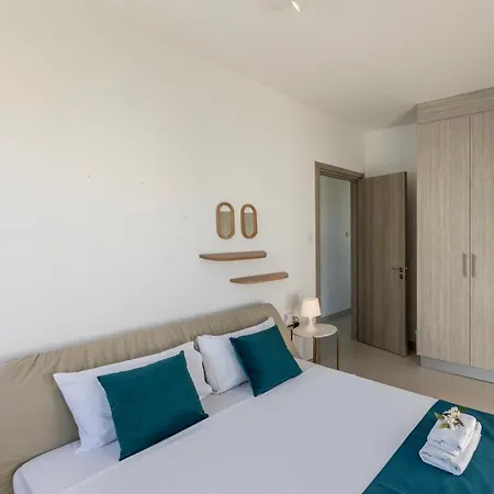 Accomoteleia Blue