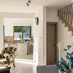Accomoteleia Blue