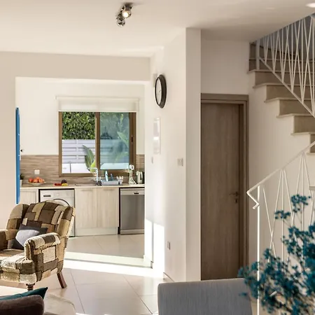 Accomoteleia Blue